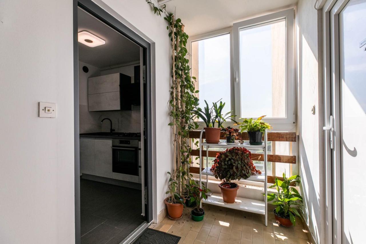 Apartment Minka Pula